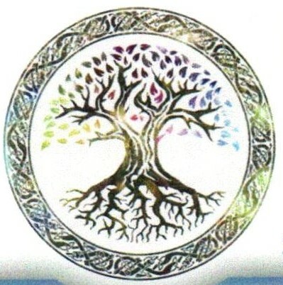 Logo David Magnétisme Logo David Magnétisme