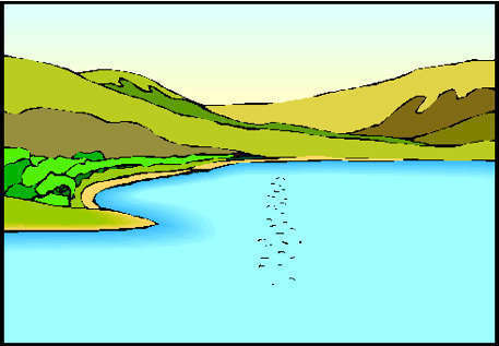 L’hydrotomie percutanée à l’eau de mer