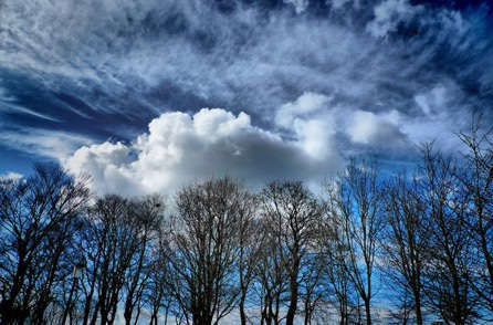 Témoignages sur le pouvoir de la création mentale