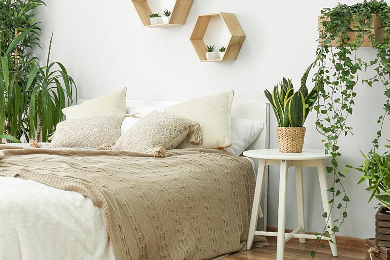 Intendance de vos logements