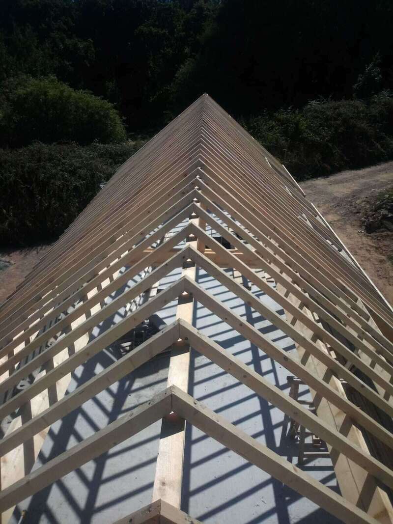 whatsapp_image_2025-07-11_a_17-44-18_f624e1f3