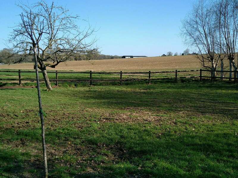 img_20210227_155859_-_copie