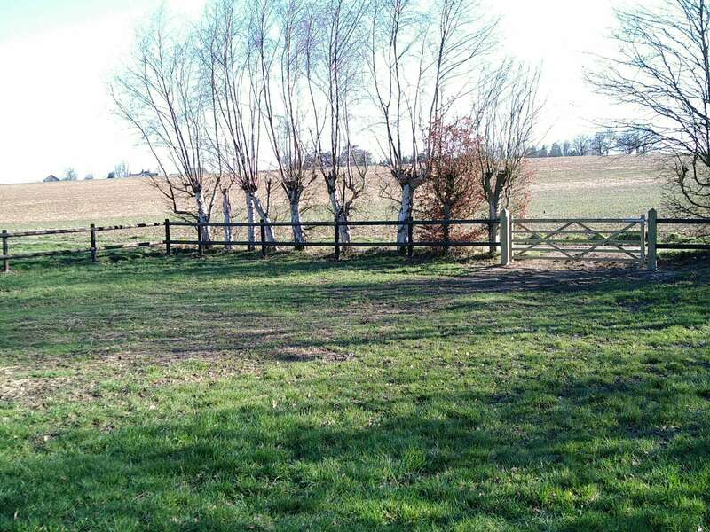 img_20210227_155853_-_copie