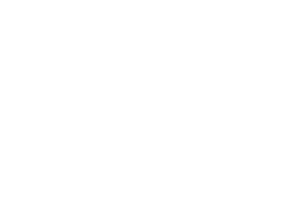 Logo Frédérique VAN GINNEKEN Avocat