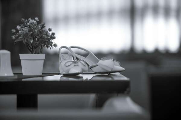 Newsletter du mois de novembre 2025