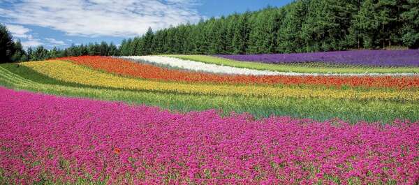 ATELIERS A THEMES : à choisir selon vos besoins et/ou envies