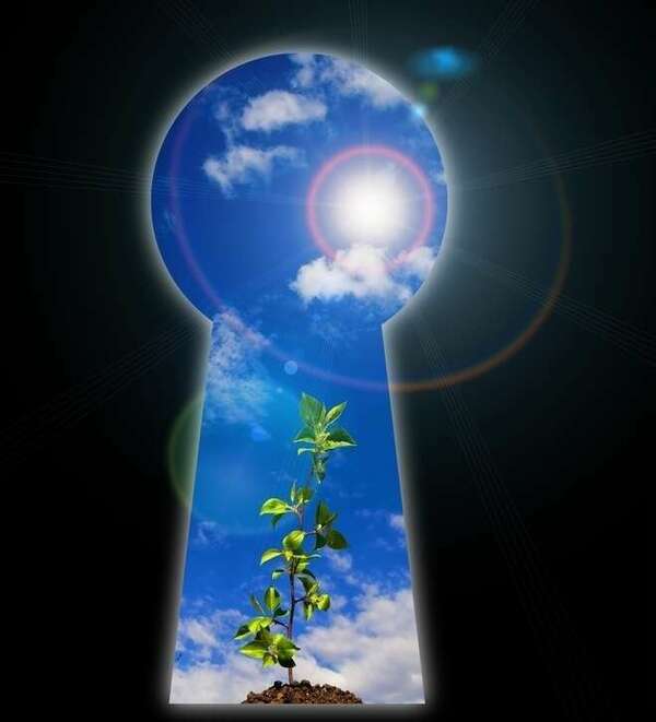 Les croyances de base à reprogrammer avec PSYCH-K® : poser les fondations de ta transformation