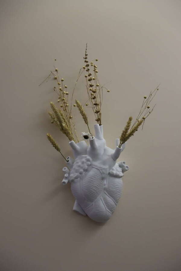 Questions & Réponses sur la chiropraxie !