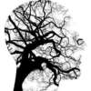 Exercices de respiration et relaxation pour vie quotidienne