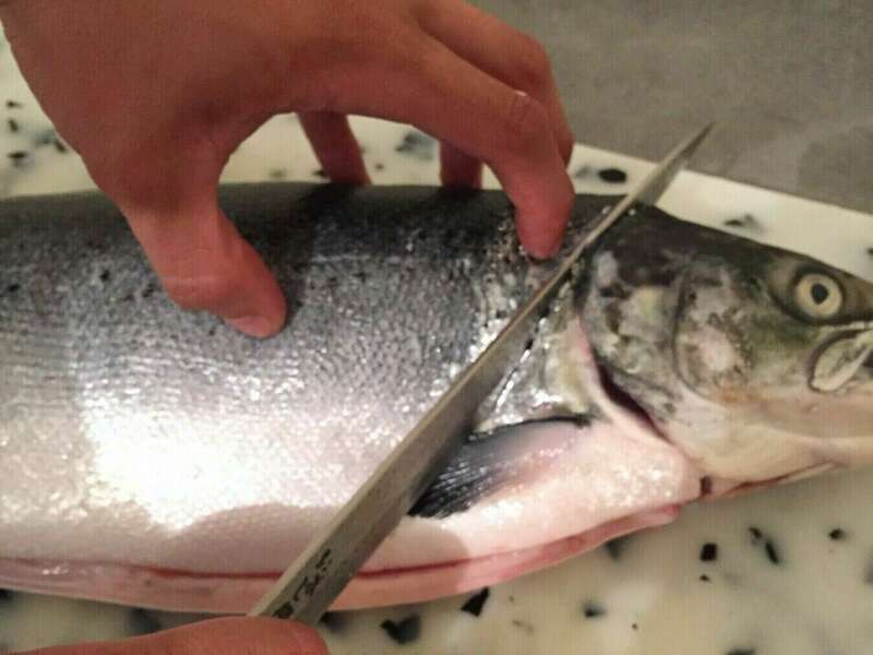 835e0f4c506d9343981020160809-1111369-16lj34420210311-2758593-ish20h