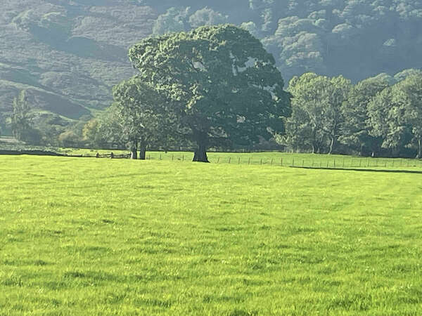 Rentrée sereine : comment la SOPHROLOGIE peut vous aider à réduire votre stress ?