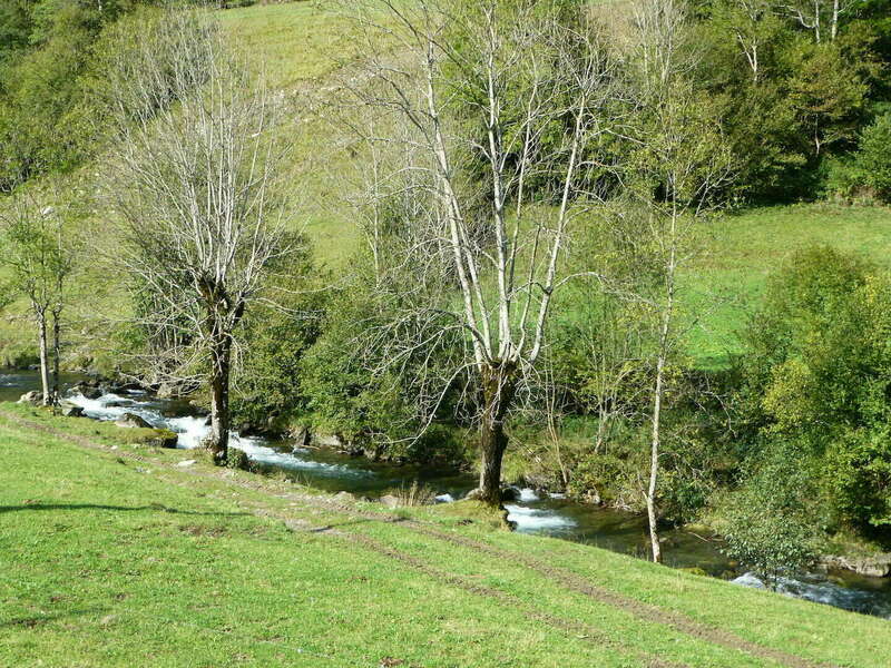 torrent_transhumance20201209-1250089-1ekod37