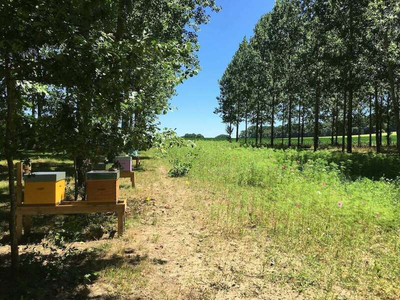 rucher_jachere20201209-1250089-1m14unb