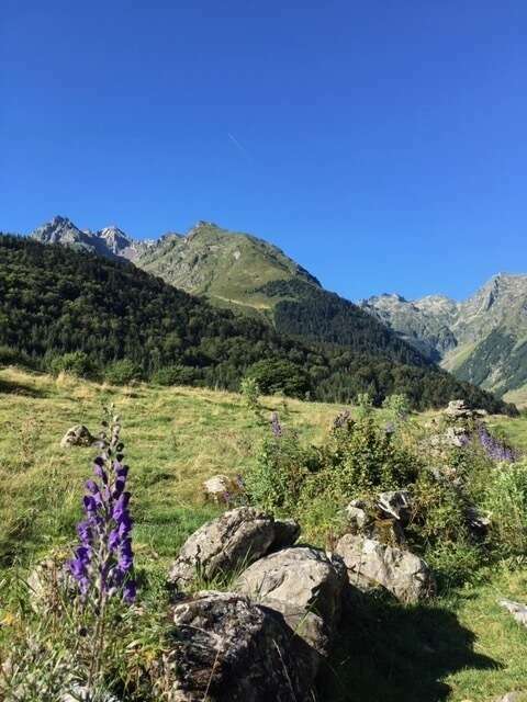 pic_transhumance20201209-1250089-zk6a0r