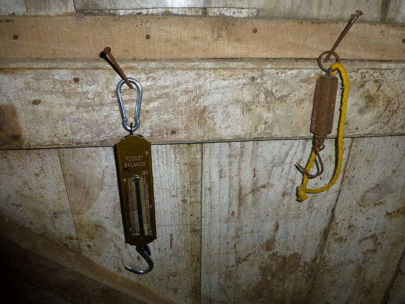 pesons20201209-1250089-1q0jn53