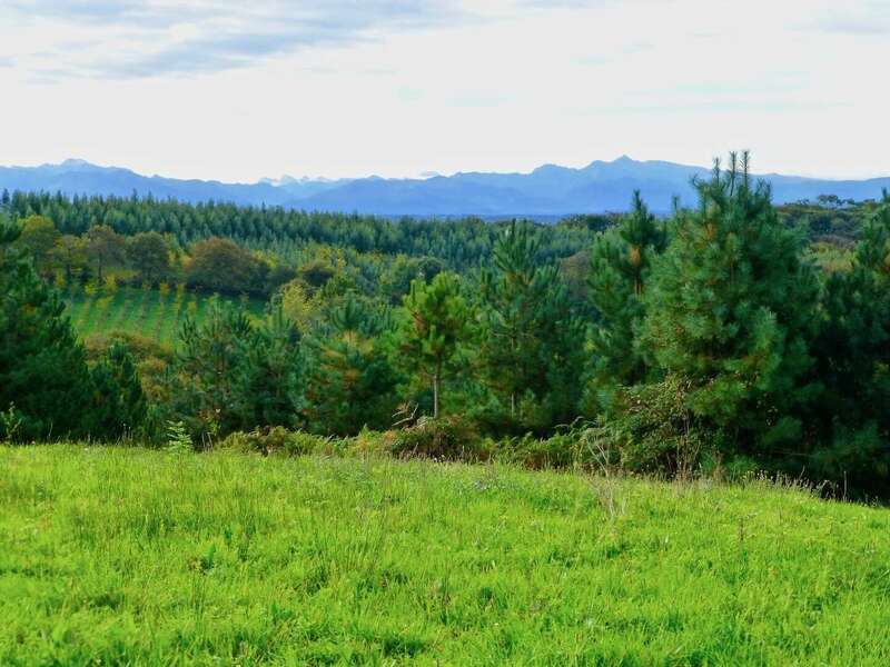 accueil20201204-1988163-nxy36t