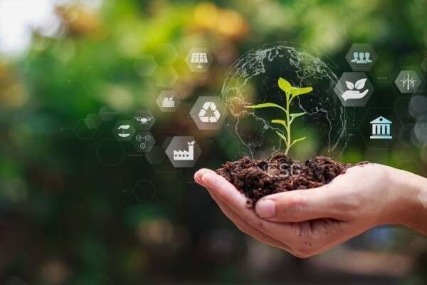 Agriculture : aides financières et respect de l’environnement