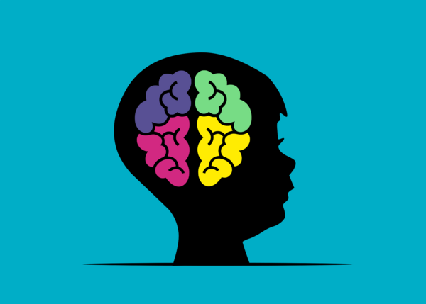 Quel type de mémoire a votre enfant?