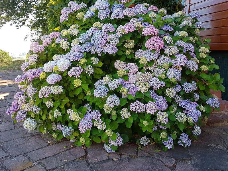 20180624_21594120190730-2563097-purjjb