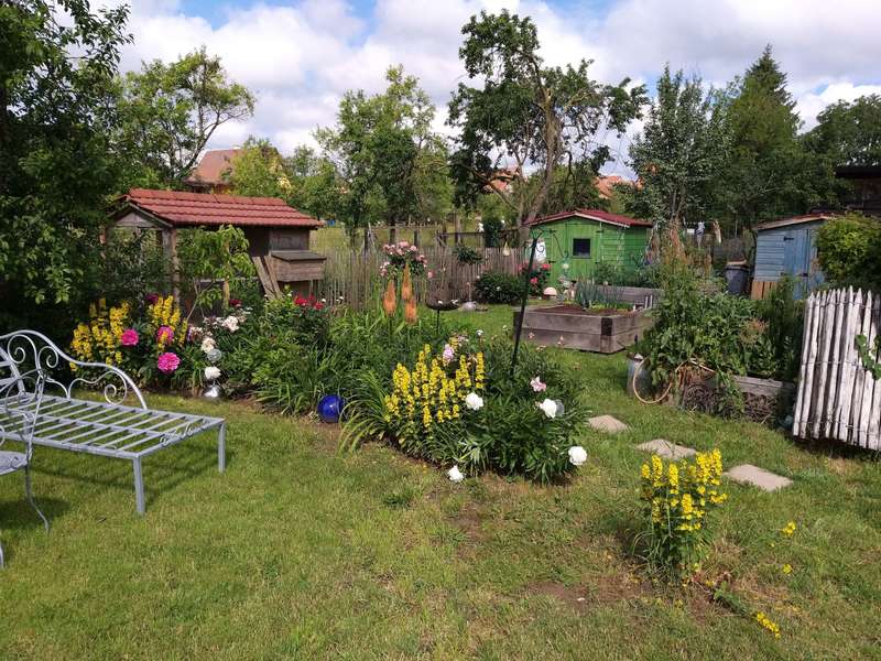 20190611_10220220190730-2563097-oppyp2