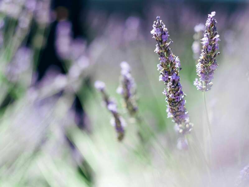 danielle-comer-zq1topsjbrk-unsplash