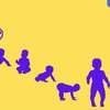 APF Apprentissage Pleine Forme