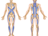 Fascia schéma simplifié