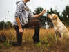 Reiki animal