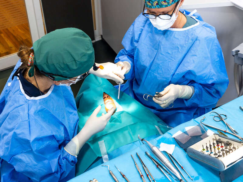 chirurgie2