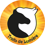 Logo "Traits de Lumière"