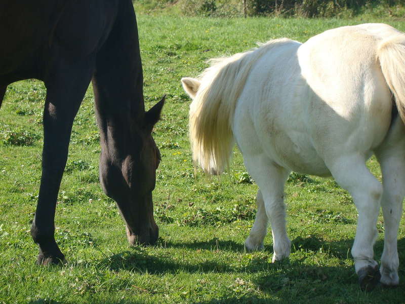 welttraum_et_joyeuse