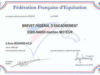diplome-brevet-federal-1