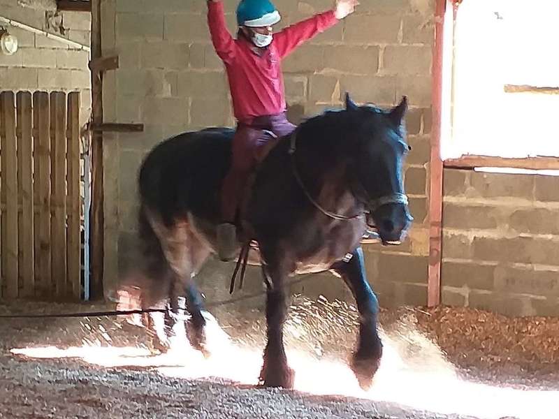 david_et_belette_ok_2