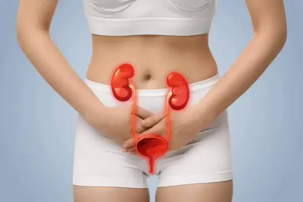 Décodage émotionnel de la cystite ou infection urinaire : conflit en lien avec le territoire