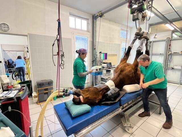 photo_7-_galerie_jpg