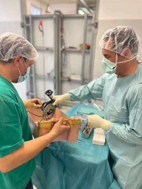 photo_8-_galerie_jpg