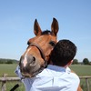 Le Bien-être du Cheval - Clinique Vétérinaire Equine de Chantilly