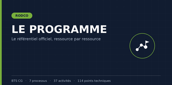Le programme du DCG et du DSCG, ressource par ressource