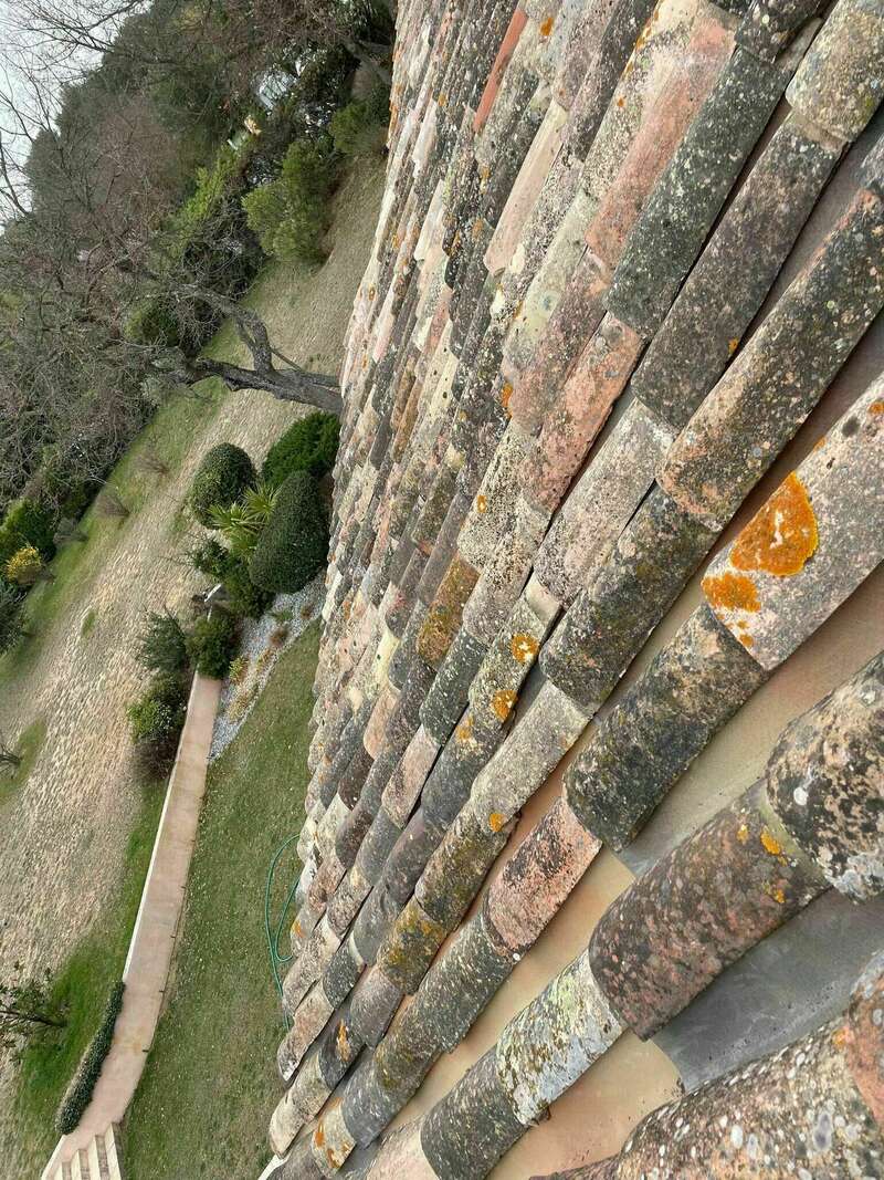 275625528_283926493937685_3939017831425203655_n