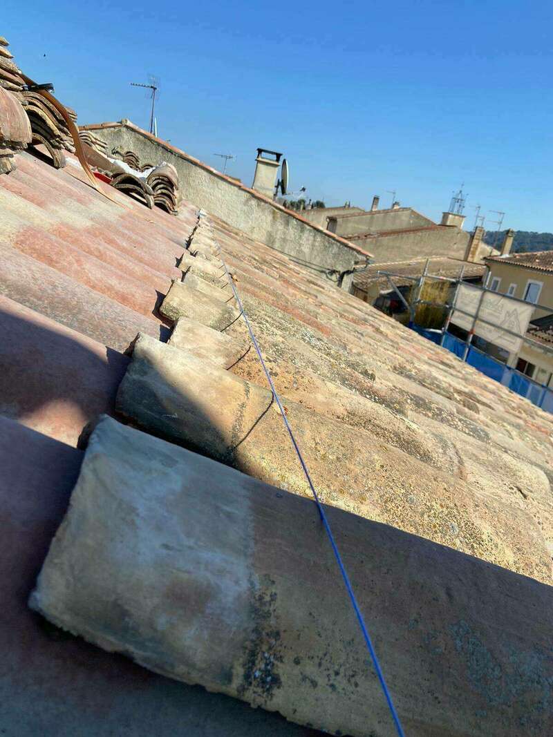 325165179_894959645167092_6377525442866621523_n