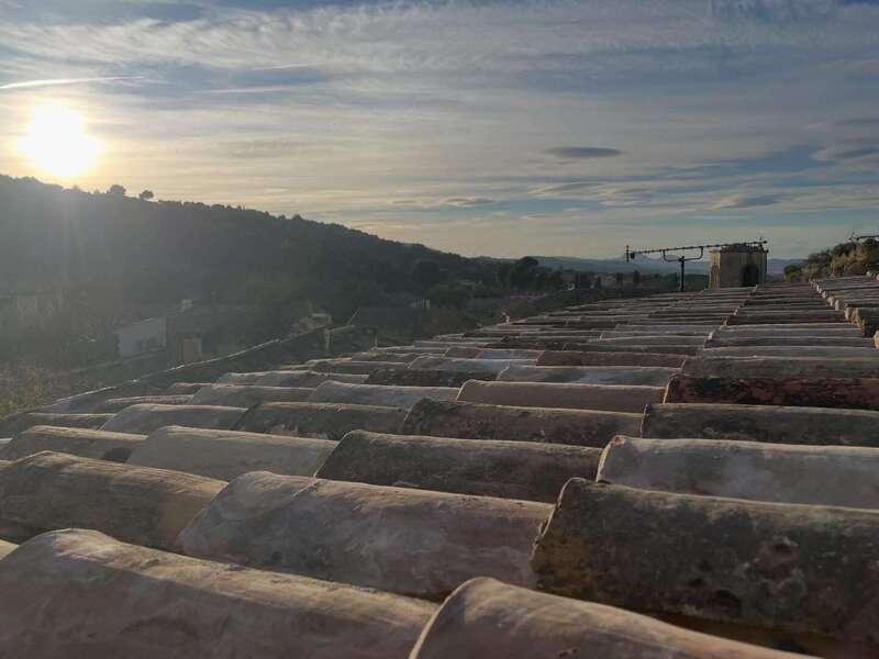 whatsapp_image_2025-12-19_at_11-51-24__2_