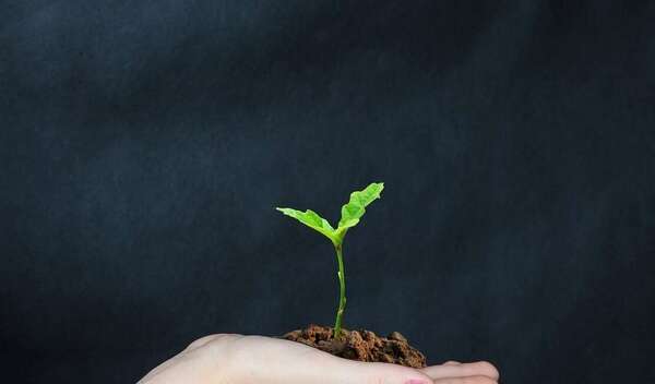 Découvrez le rôle de l'intention en sophrologie