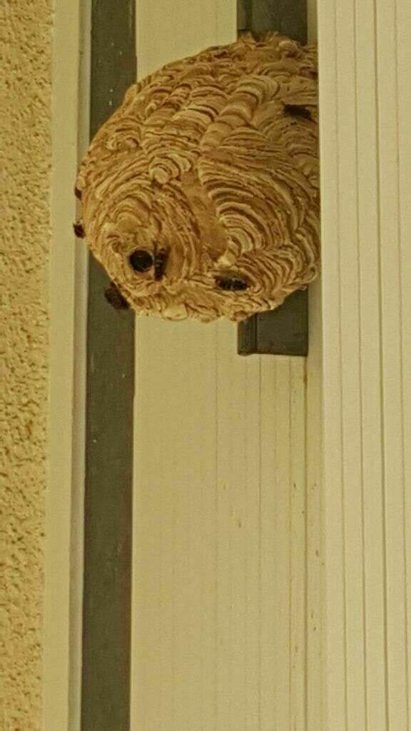 whatsapp_image_2021-09-27_at_14-28-52__1_