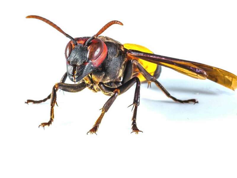 proxy-a9117d10a8584b76215ee95f66187dea-og20210906-1686362-c7olre20210906-1686375-1mo24p6