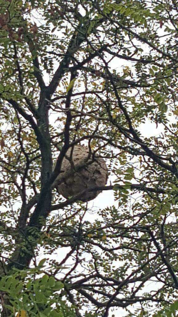 whatsapp_image_2023-03-27_a_14-51-16