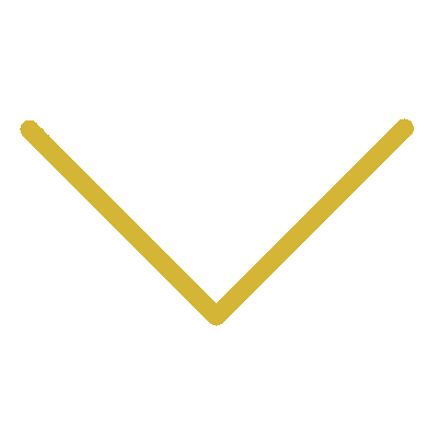 Wired outline 33 chevron down hover scale  3 