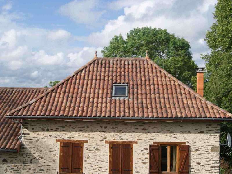 dsc0195120190222-1986400-157qbcy