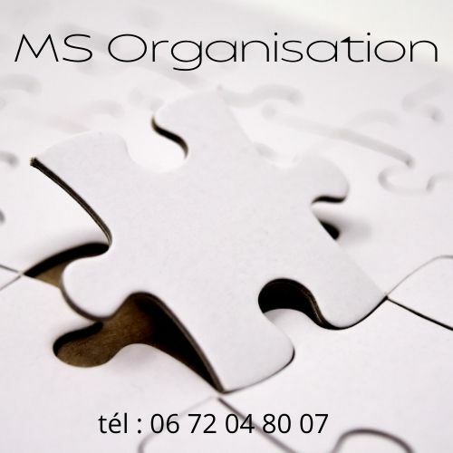 Logo MS ORGANISATION