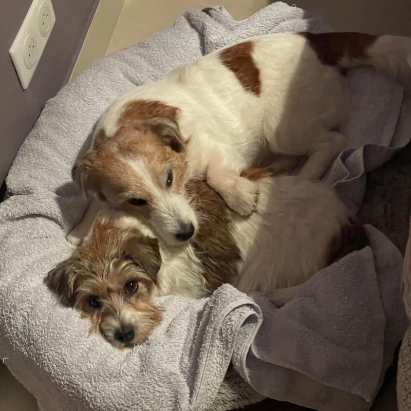 Melissa, assistante dentaire, Paris 6ème