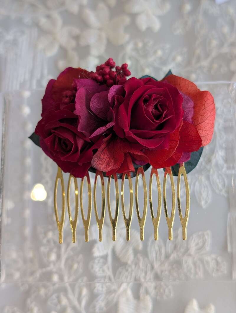 peigne_rouge20260423-3157942-xlzws5